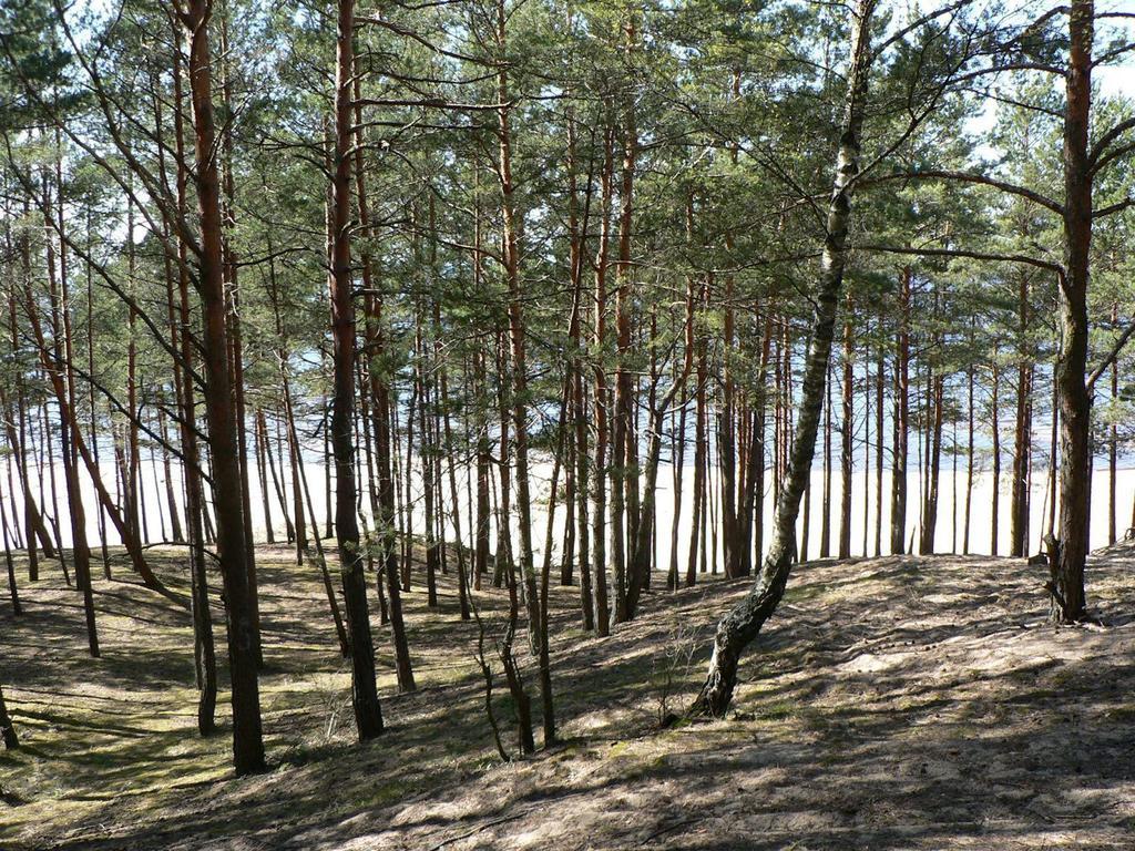 Krauklis Beach Apartments Saulkrasti Buitenkant foto